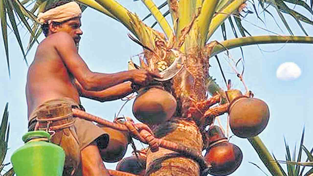 కాటమయ్య రక్షణకిట్లేవి?