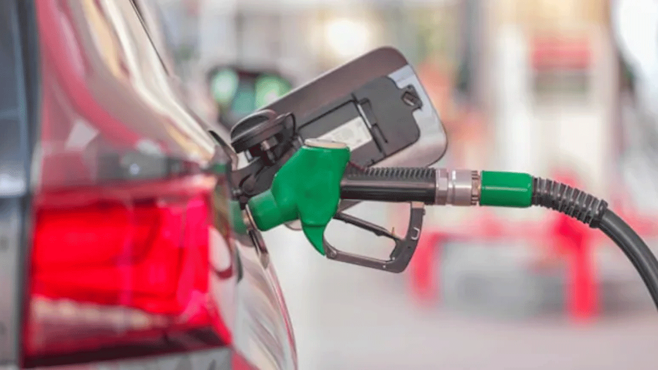 E25 Petrol | దేశంలో త్వ‌ర‌లో E25 పెట్రోల్.. క్లారిటీ ఇచ్చిన కేంద్రం..!