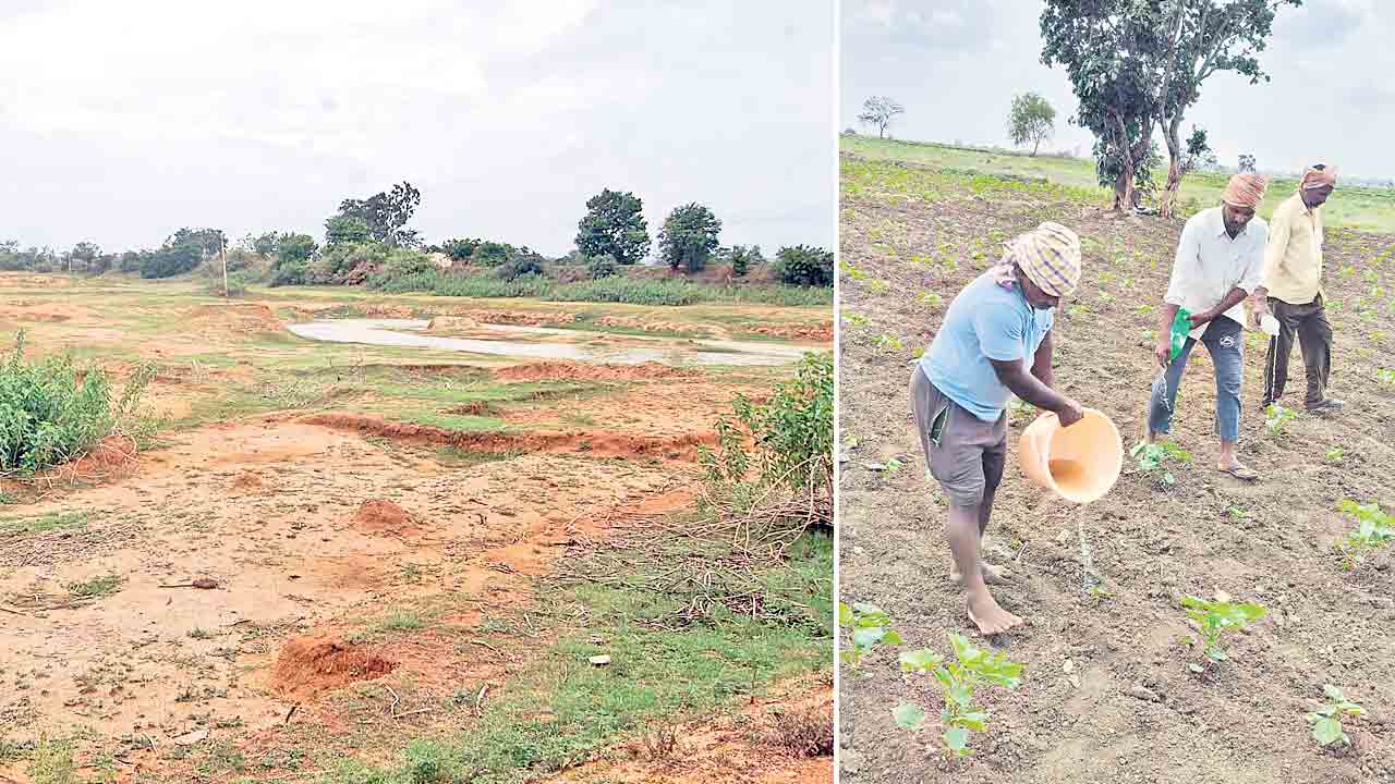 వాన వర్రీ.. మెదక్‌ జిల్లాలో జాడలేని వానలు..!