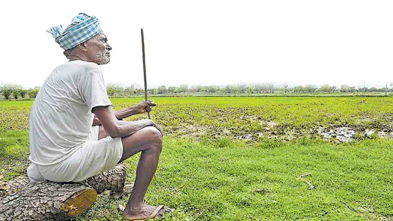 రాష్ట్రంలో ఎల్‌నినో ఛాయలు!