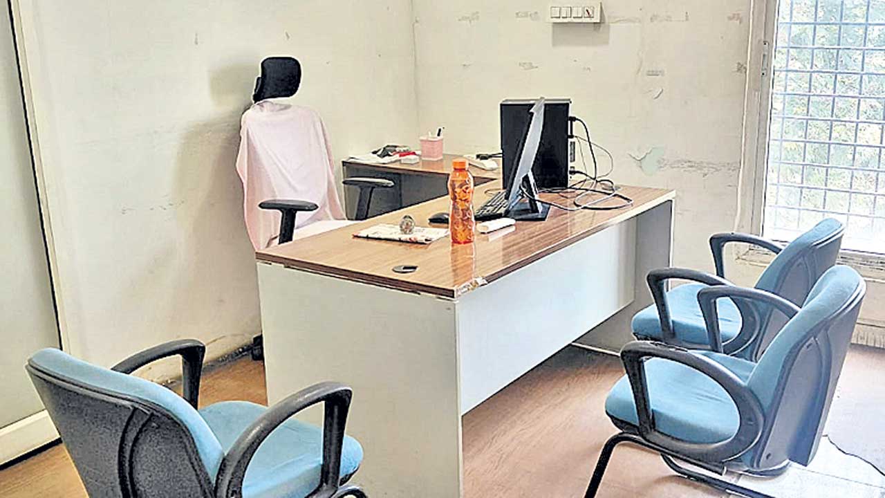 సర్‌ సాకులు