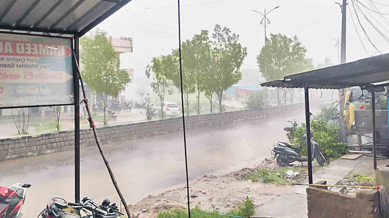 ముమ్మరంగా వరి నాట్లు