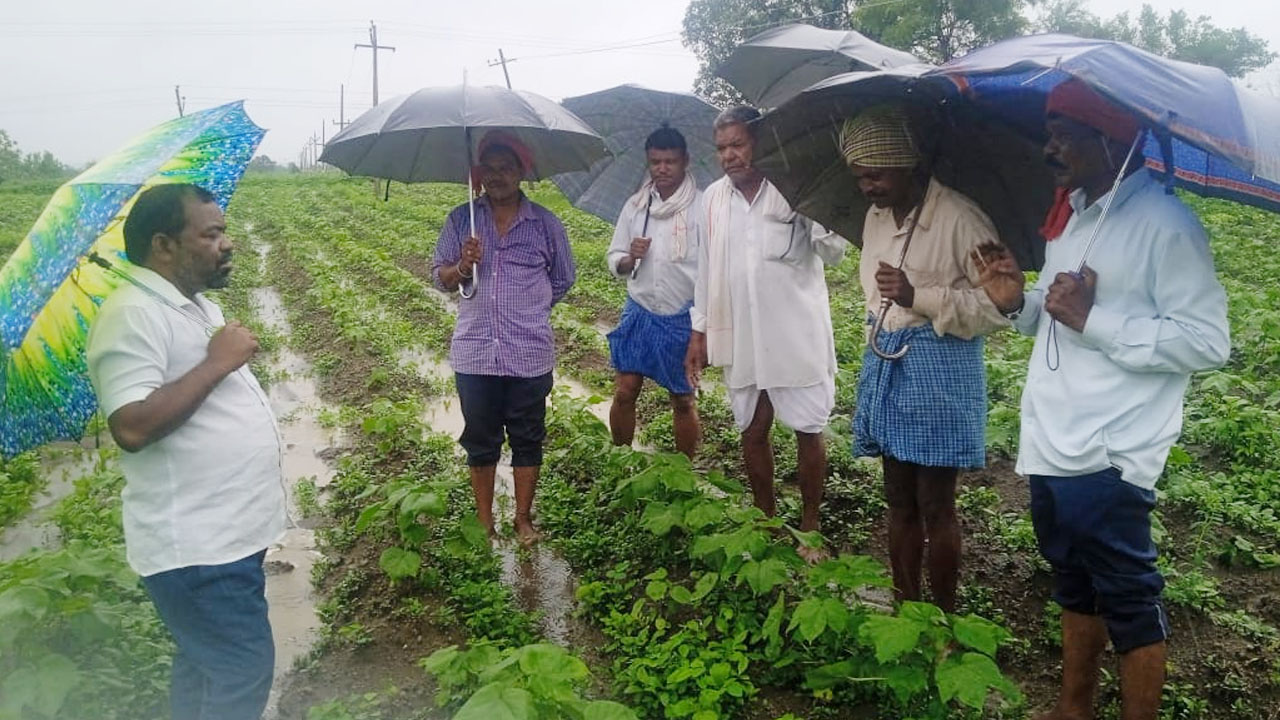 Urea shortage | యూరియా కొరతతో అవస్థల్లో అన్నదాతలు : మాజీ చైర్మన్‌ కనక యాదవరావు