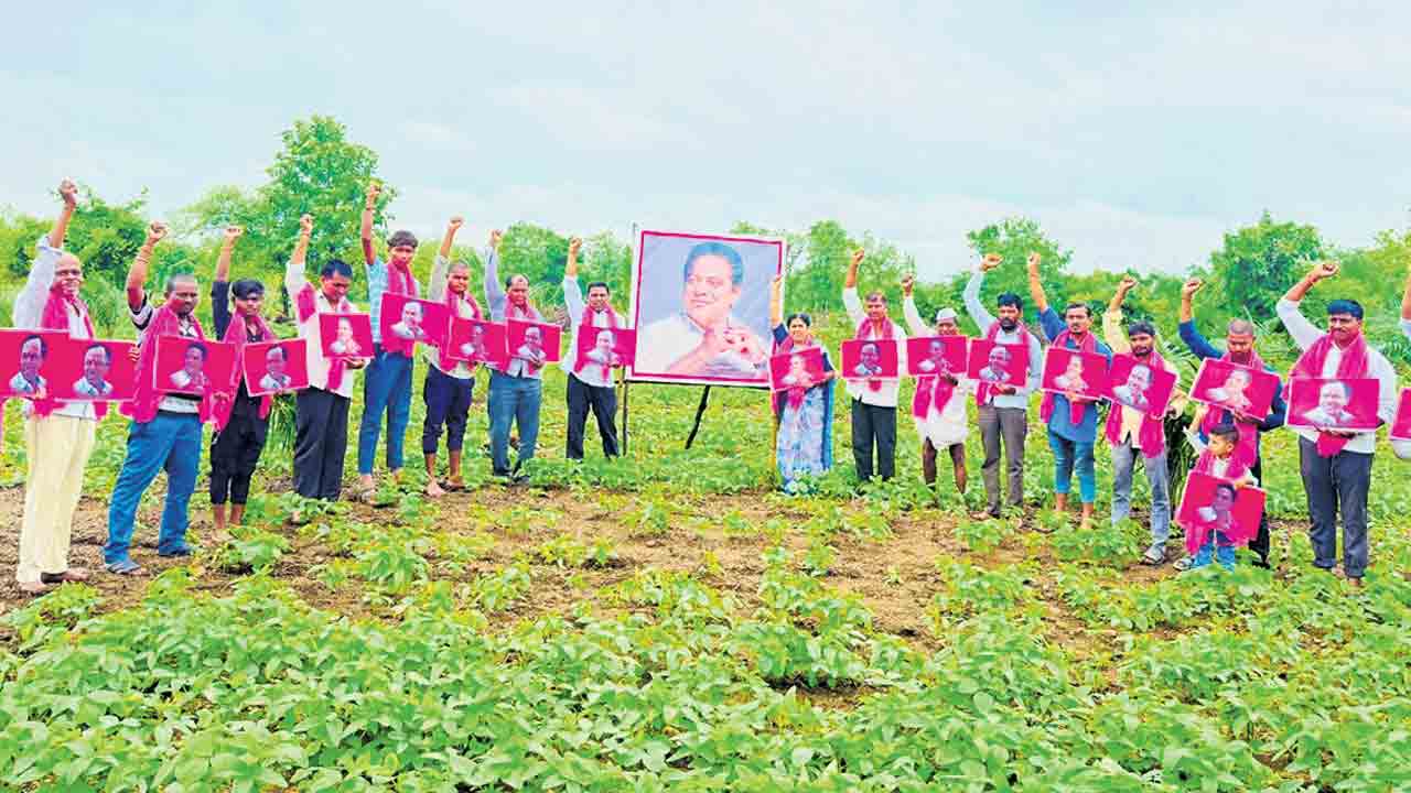 కేటీఆర్‌ పుట్టినరోజున హరిత యజ్ఞం