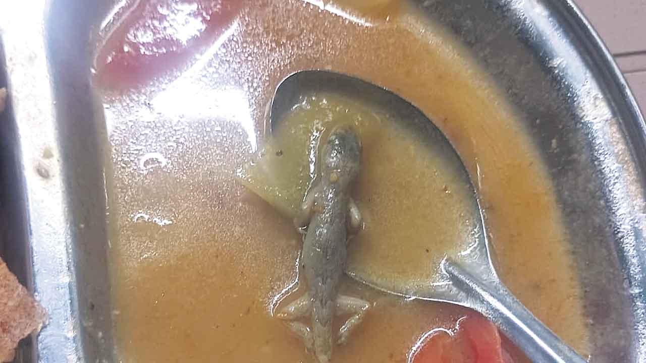 సాంబార్‌లో బల్లి