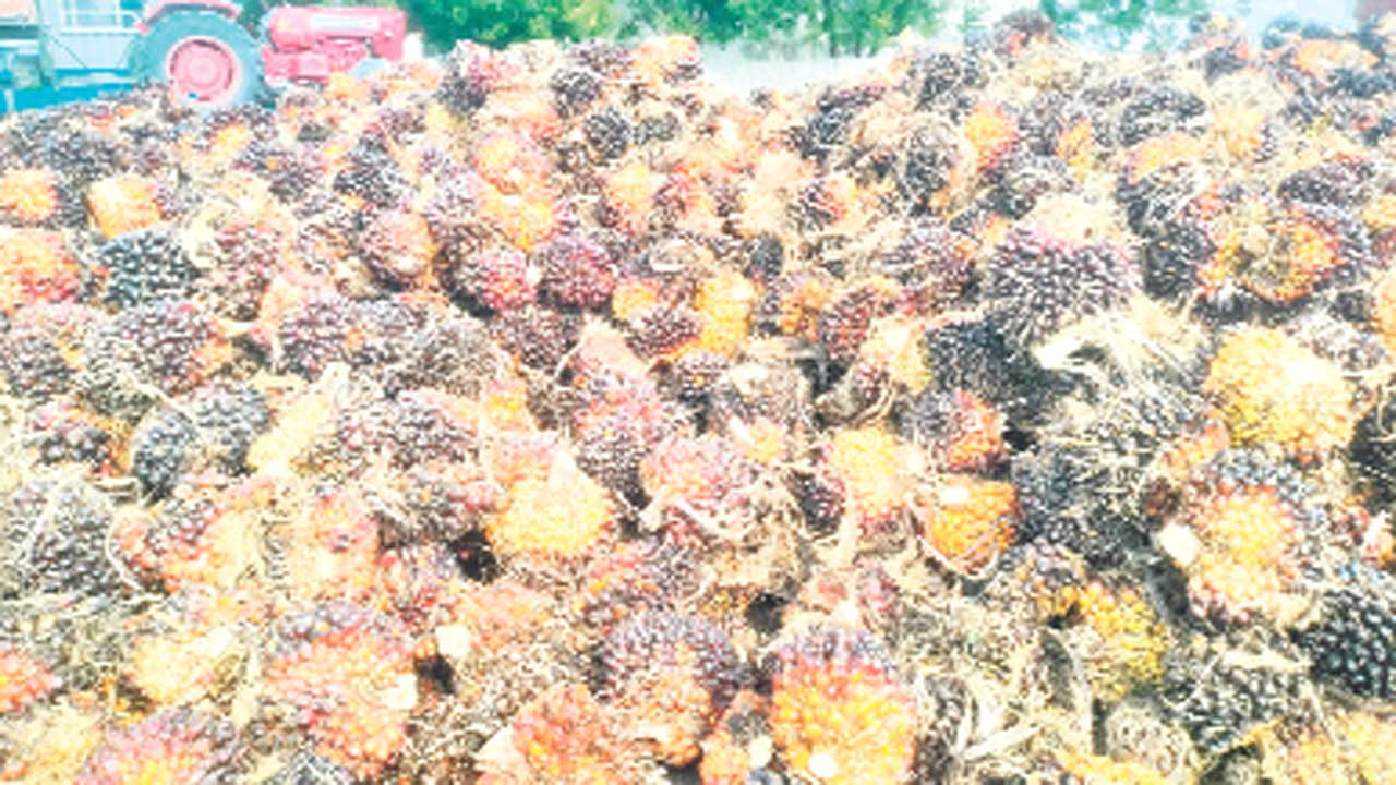 Mahabubnagar