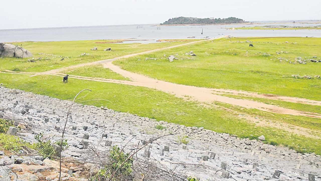 కమ్ముకుంటున్న కరువుఛాయలు