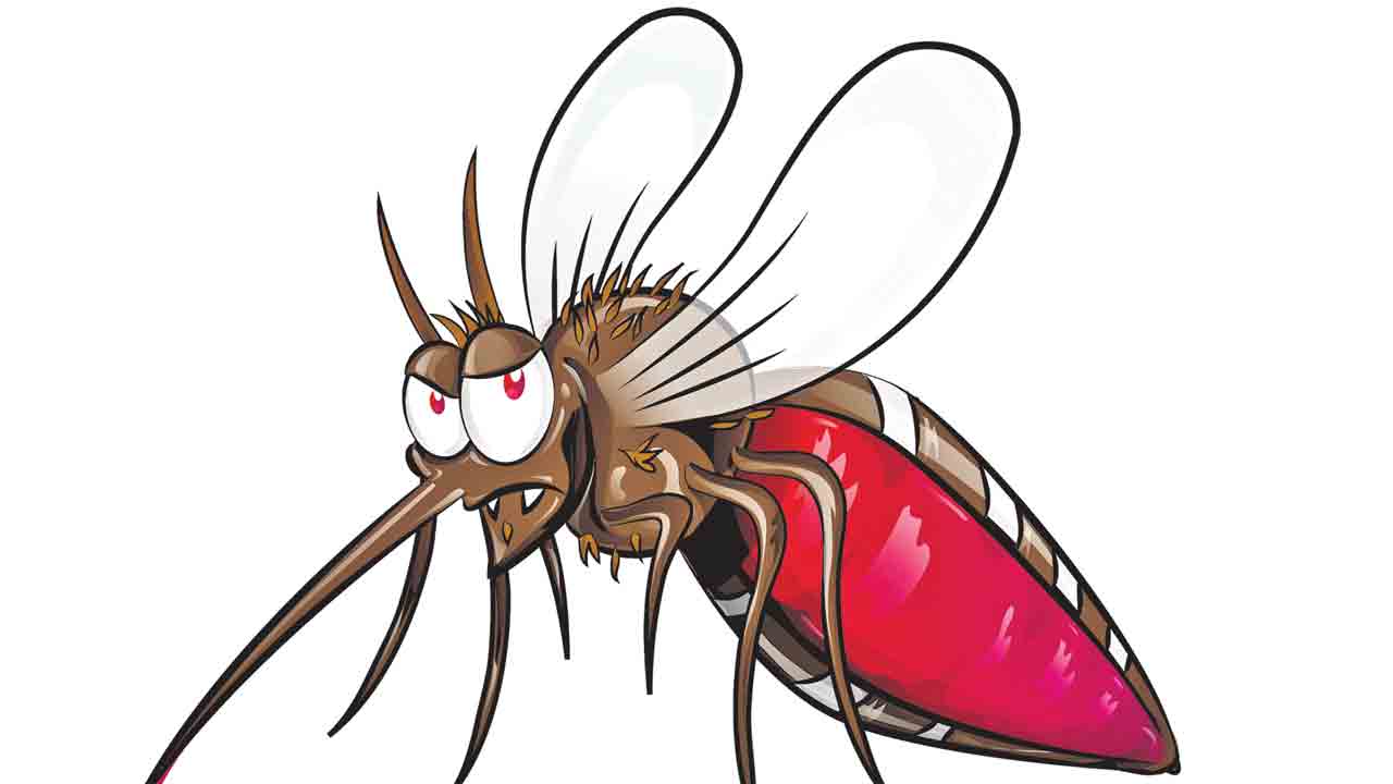 ఆగిన ఫాగింగ్‌