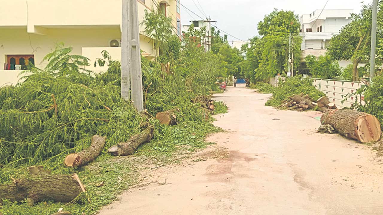 Nalgonda2