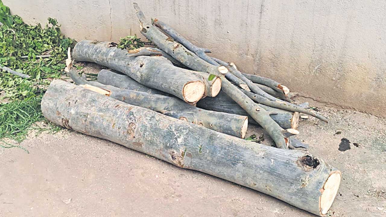 Nalgonda3