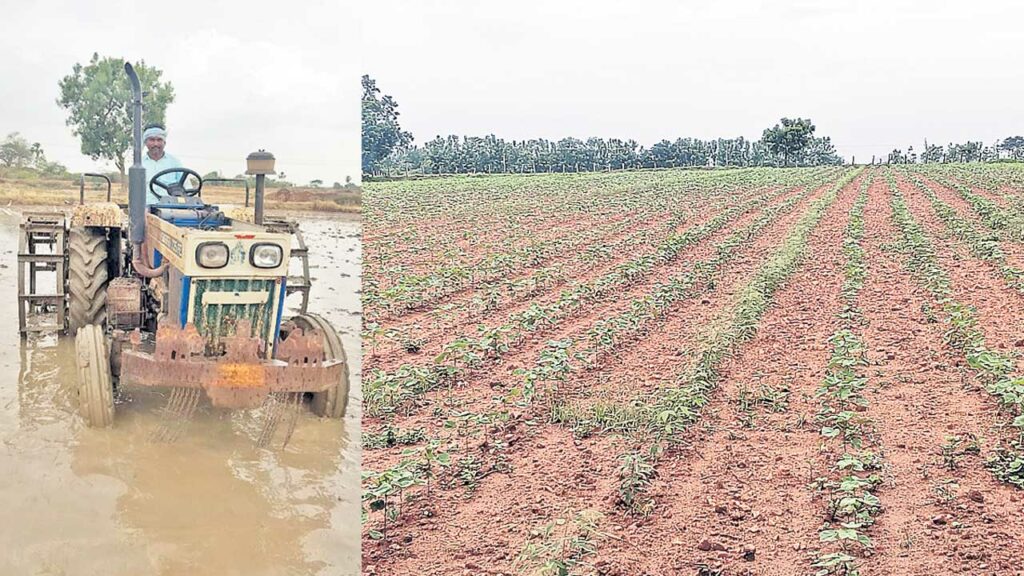 చిగురించిన రైతన్నల ఆశలు