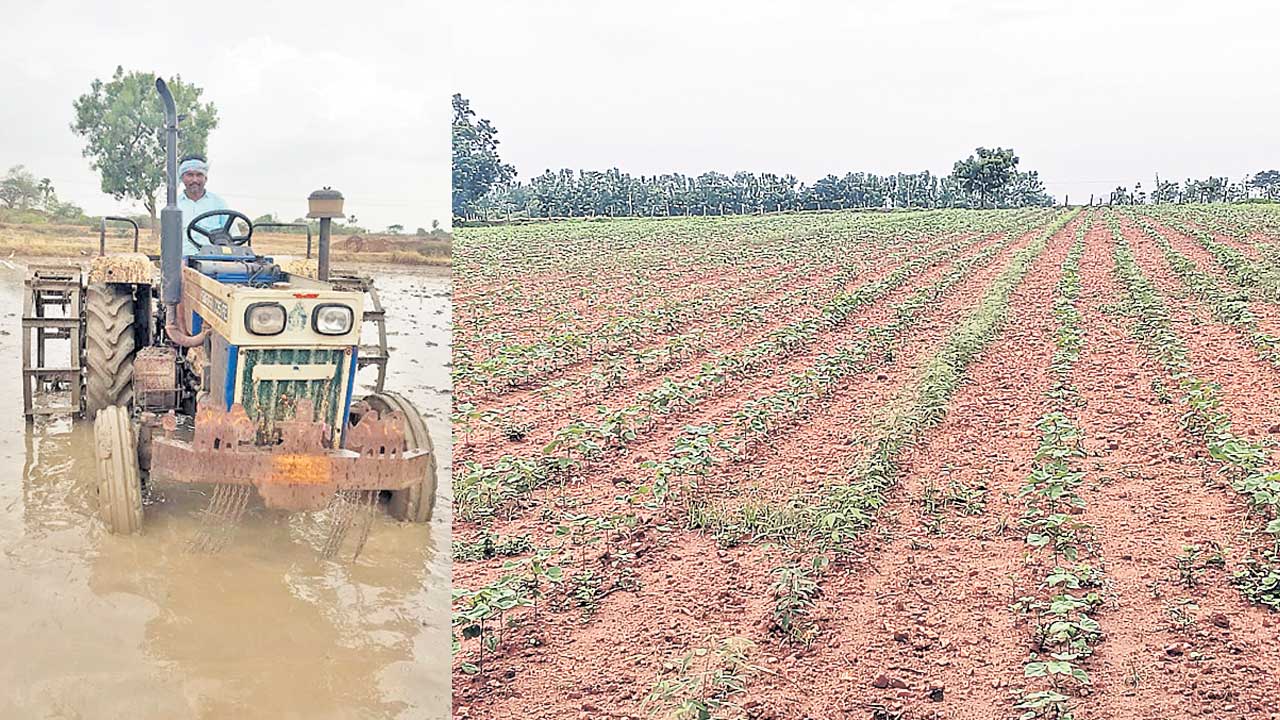 చిగురించిన రైతన్నల ఆశలు