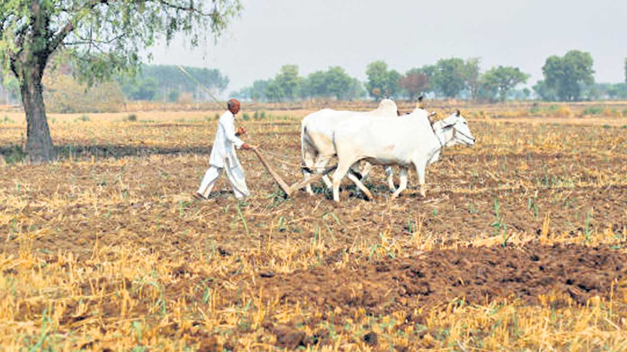 కౌలు రైతులకేదీ భరోసా!?