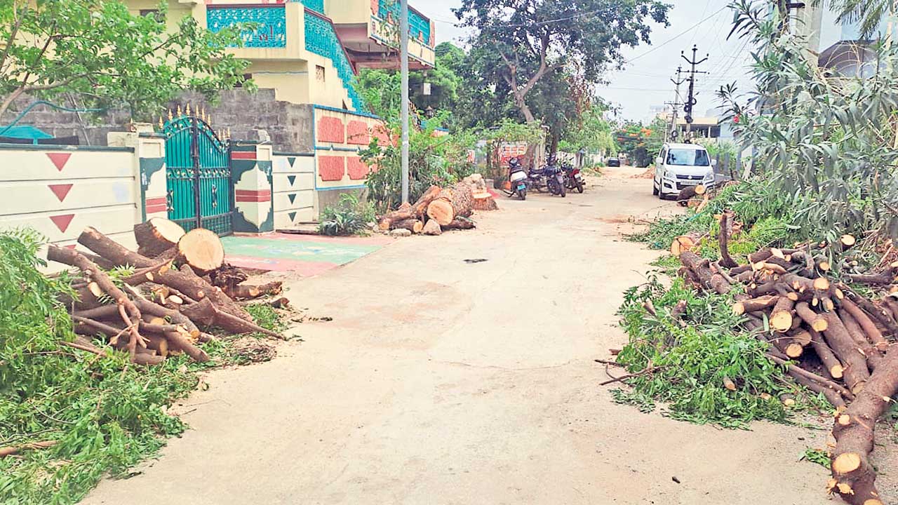 నాడు హరిత హారం.. నేడు హరిత హననం!