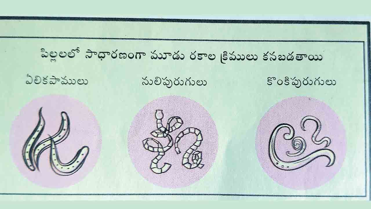 నేటి నుంచి నులిపురుగు నివారణ మాత్రల పంపిణీ