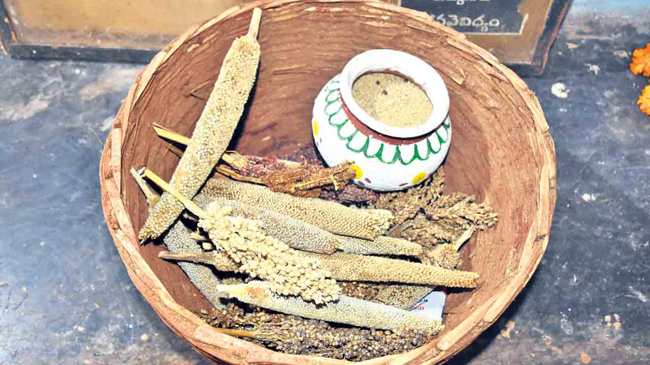 Organic Fertilizers