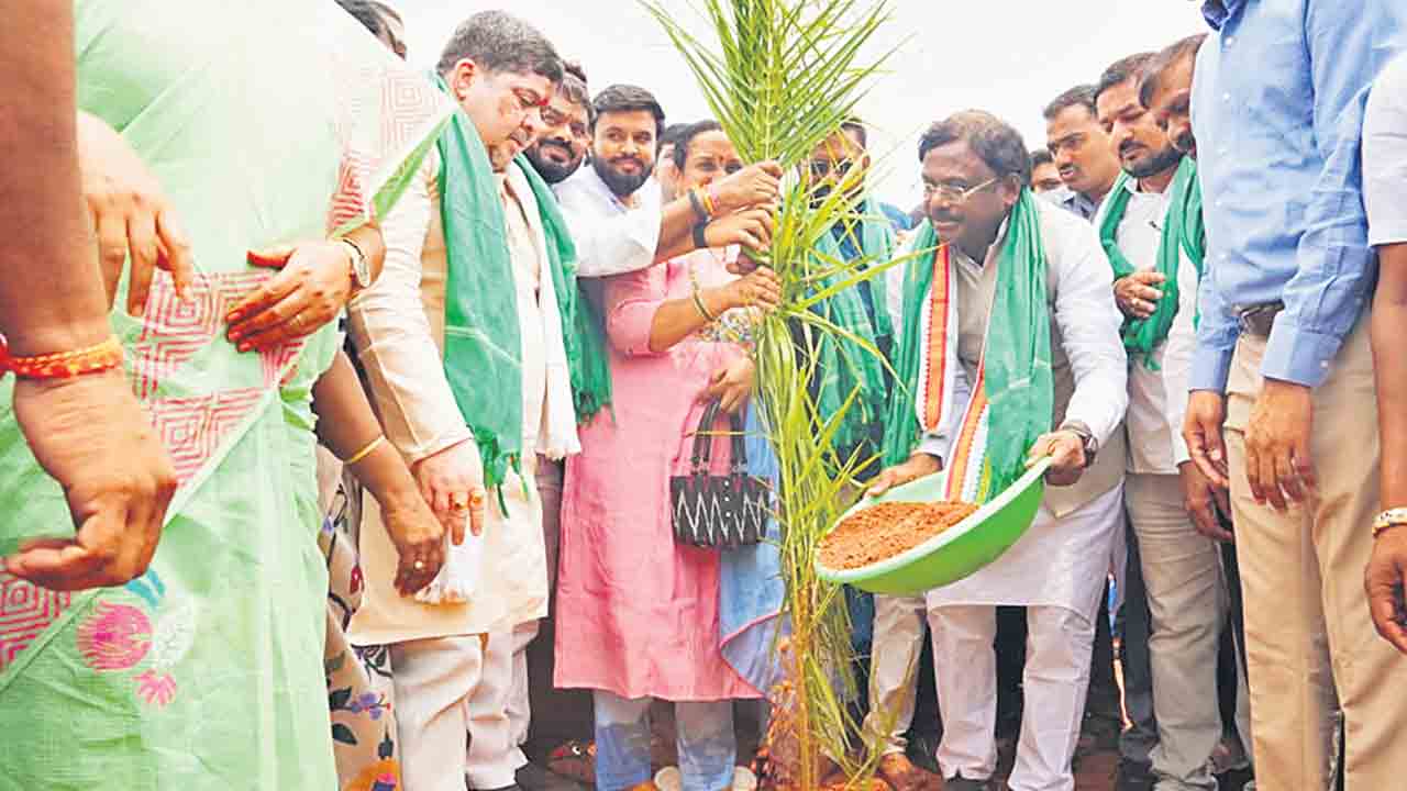ఆయిల్‌పామ్‌ సాగుపై రైతులు దృష్టిసారించాలి