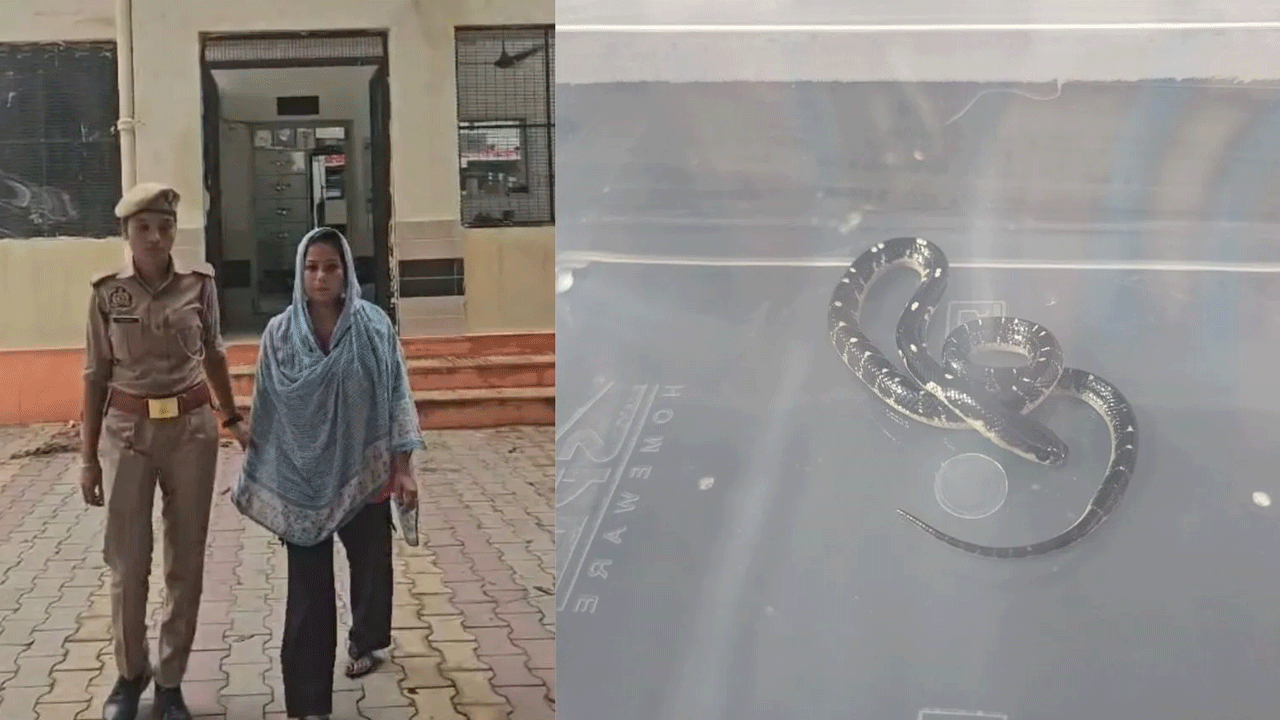 Crime news | పాల‌లో నిద్ర‌మాత్ర‌లు క‌లిపిచ్చి, పాముతో క‌రిపించి.. ప్రియుడితో క‌లిసి భ‌ర్త‌ను హ‌త్య‌చేసిన భార్య‌