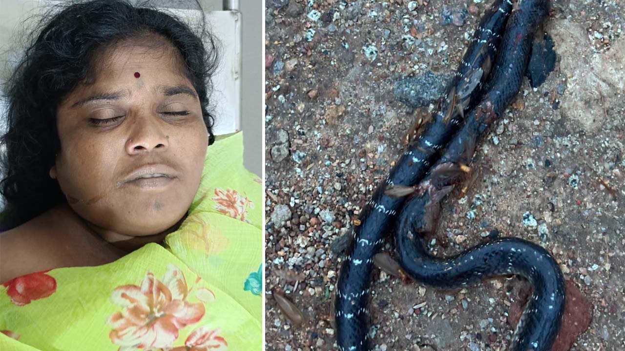 Snakebite |  విషాదం.. దంపతులకు పాముకాటు.. భార్య మృతి, భర్త పరిస్థితి విషమం