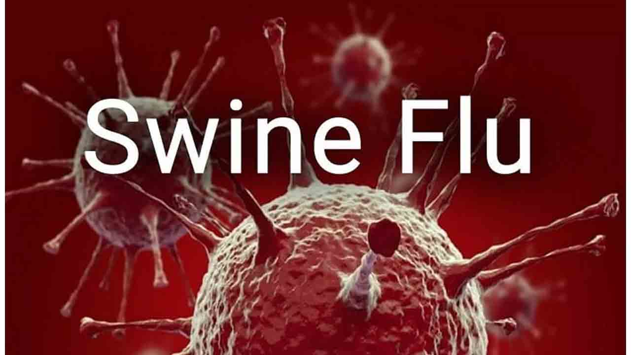 Swine Flu | నాగపూర్‌లో స్వైన్‌ఫ్లూ కలకలం