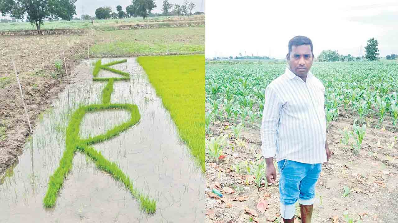 వరినారుతో ‘కేటీఆర్‌ ’ పేరు