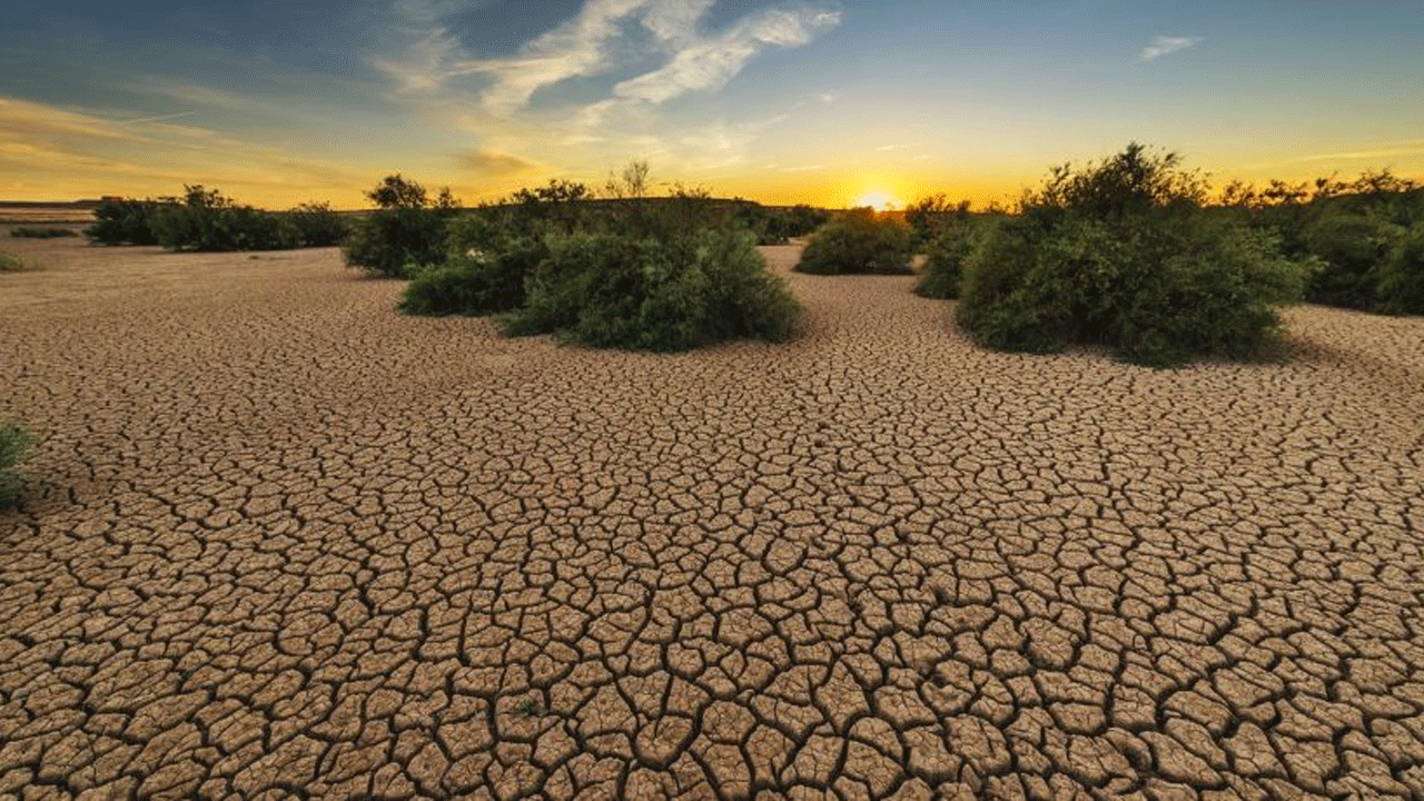 US water Crisis | అగ్ర‌రాజ్యంలోని ఆ న‌గరంలో నీటి క‌ట‌క‌ట‌.. ఏళ్లుగా కొన‌సాగుతున్న క‌రువే కార‌ణం