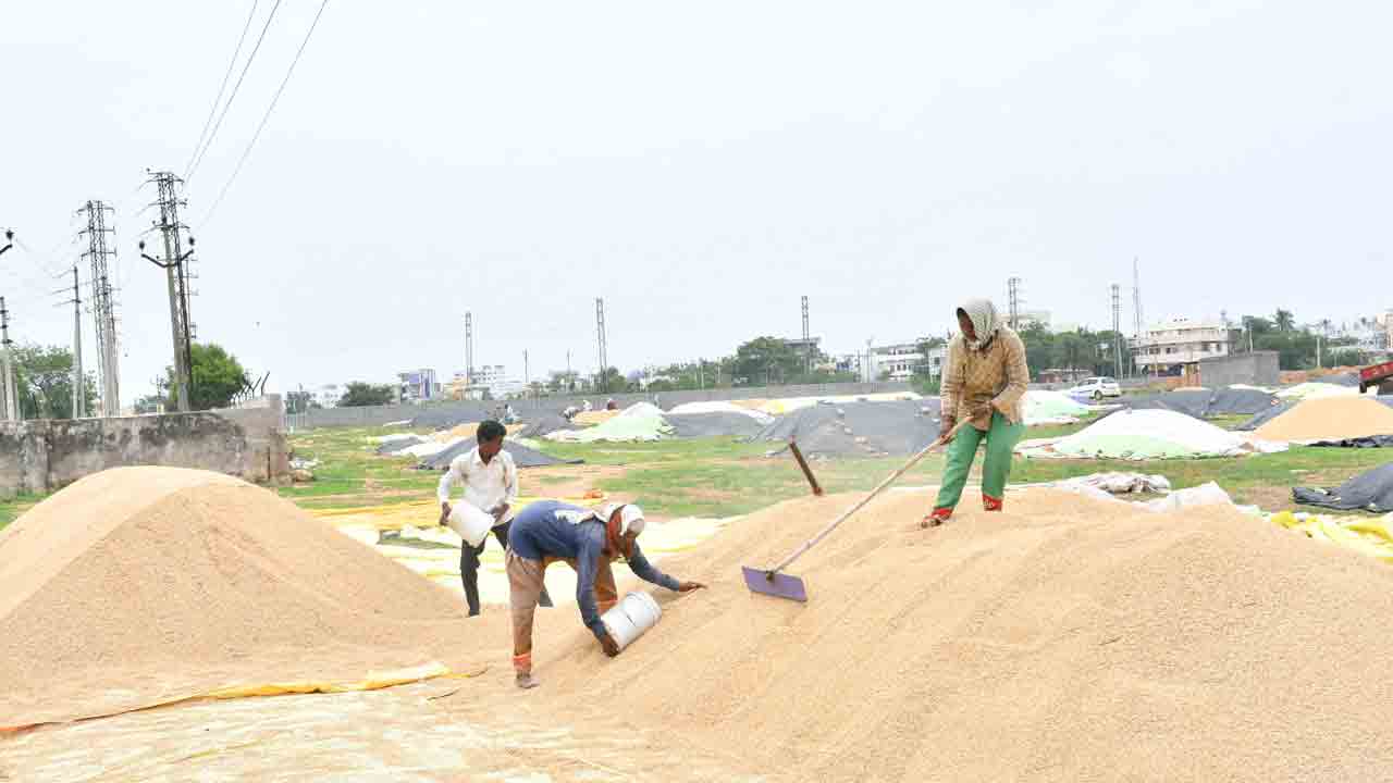 ధాన్యం పైసల్ ₹50 కోట్లు పెండింగ్