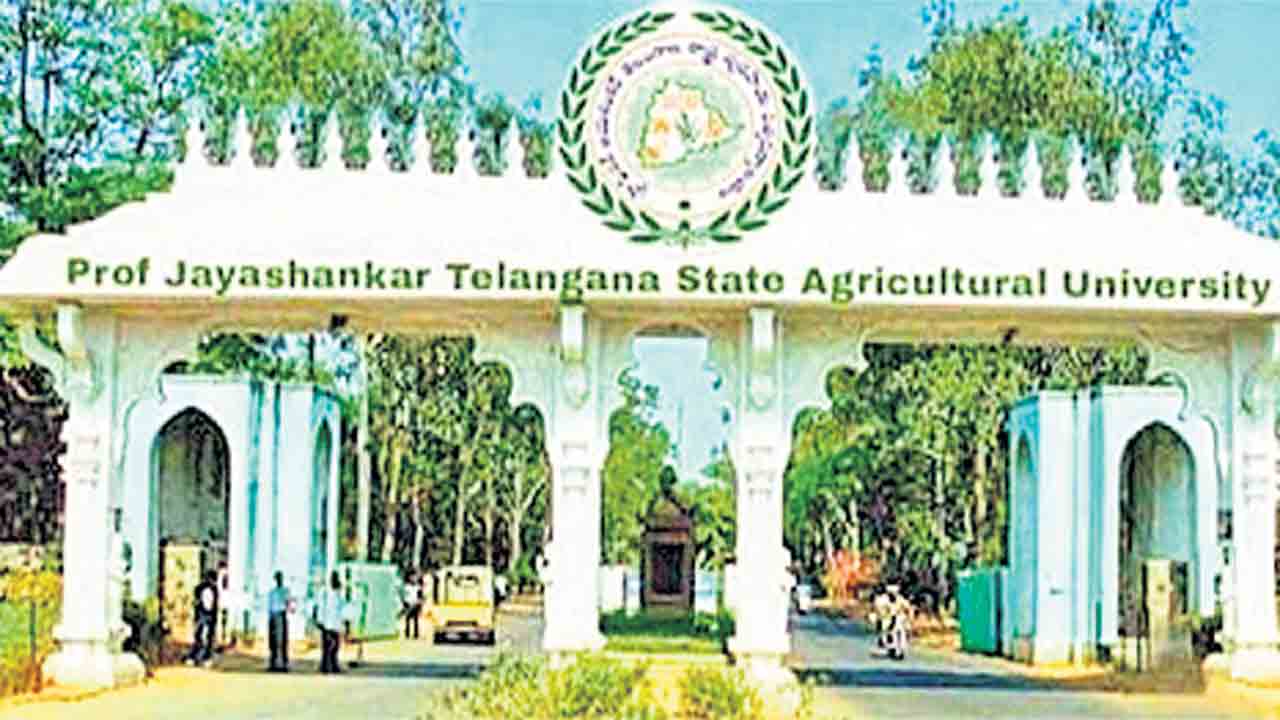 వ్యవసాయ వర్సిటీకి ఐకార్‌ గుర్తింపు ఏది?.. మార్చిలోనే ముగిసిన అక్రెడిటేషన్‌