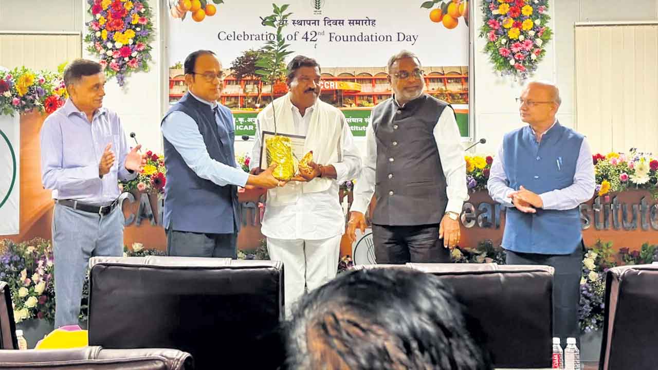 సేంద్రియ రైతు పద్మారెడ్డికి అరుదైన గౌరవం
