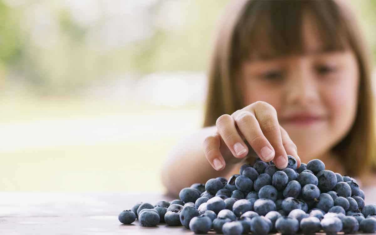 Blueberries | పిల్ల‌ల మెద‌డు అభివృద్ధికి దోహ‌ద‌ప‌డే బ్లూబెర్రీలు.. రోజూ ఇస్తే ఎన్నో ఉప‌యోగాలు..