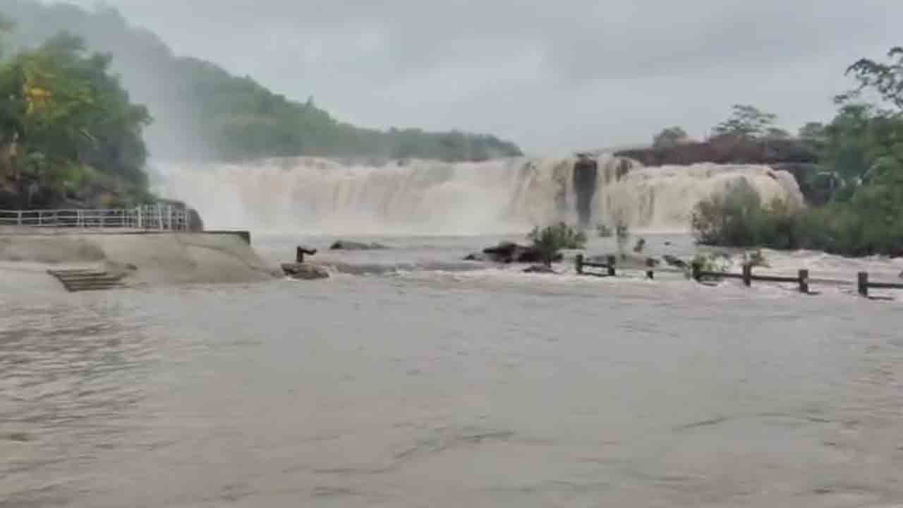 Rains | ములుగు జిల్లాలో విస్తారంగా కురుస్తున్న వర్షాలు