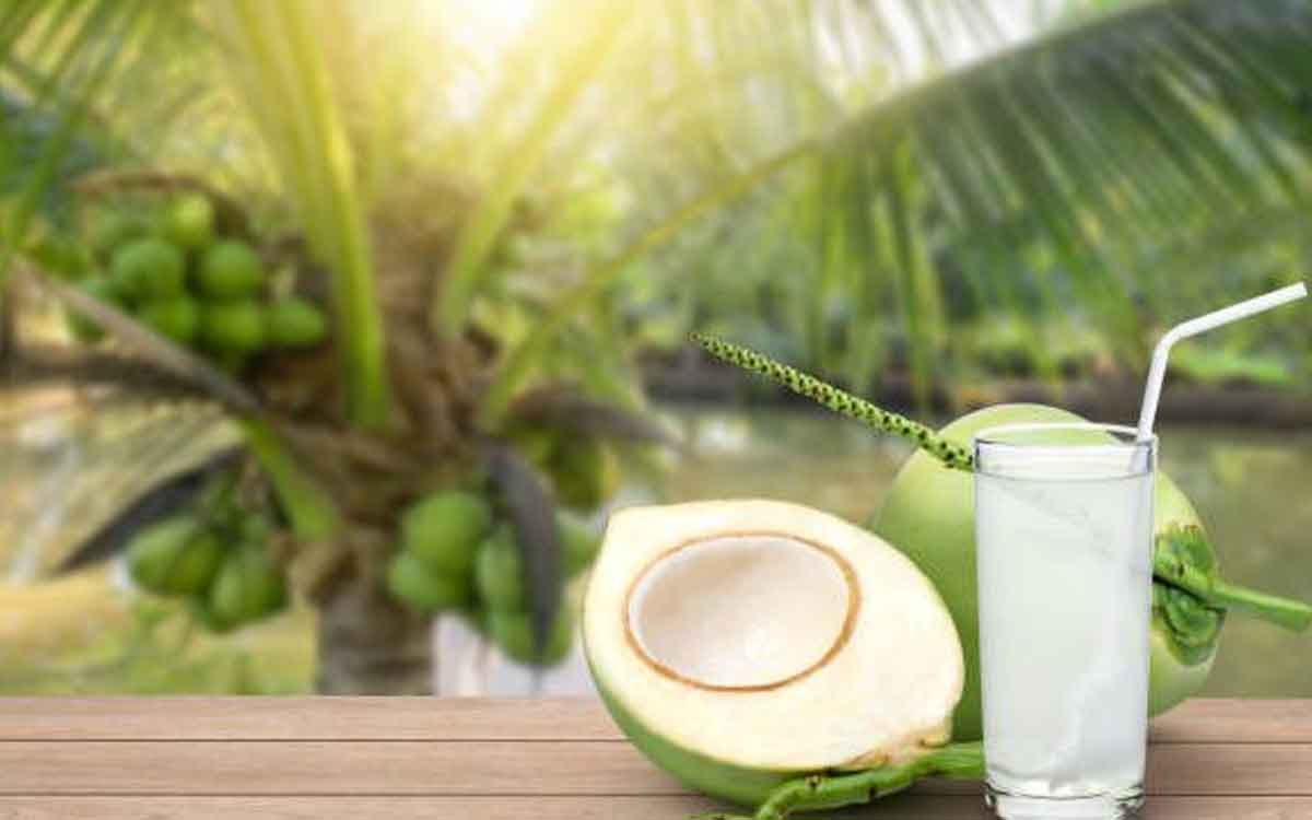 Coconut Water | స‌హ‌జ డిటాక్స్ పానీయం కొబ్బ‌రి నీళ్లు.. ప‌ర‌గ‌డుపున వీటిని ఎందుకు తాగాలో చెబుతున్న నిపుణులు..