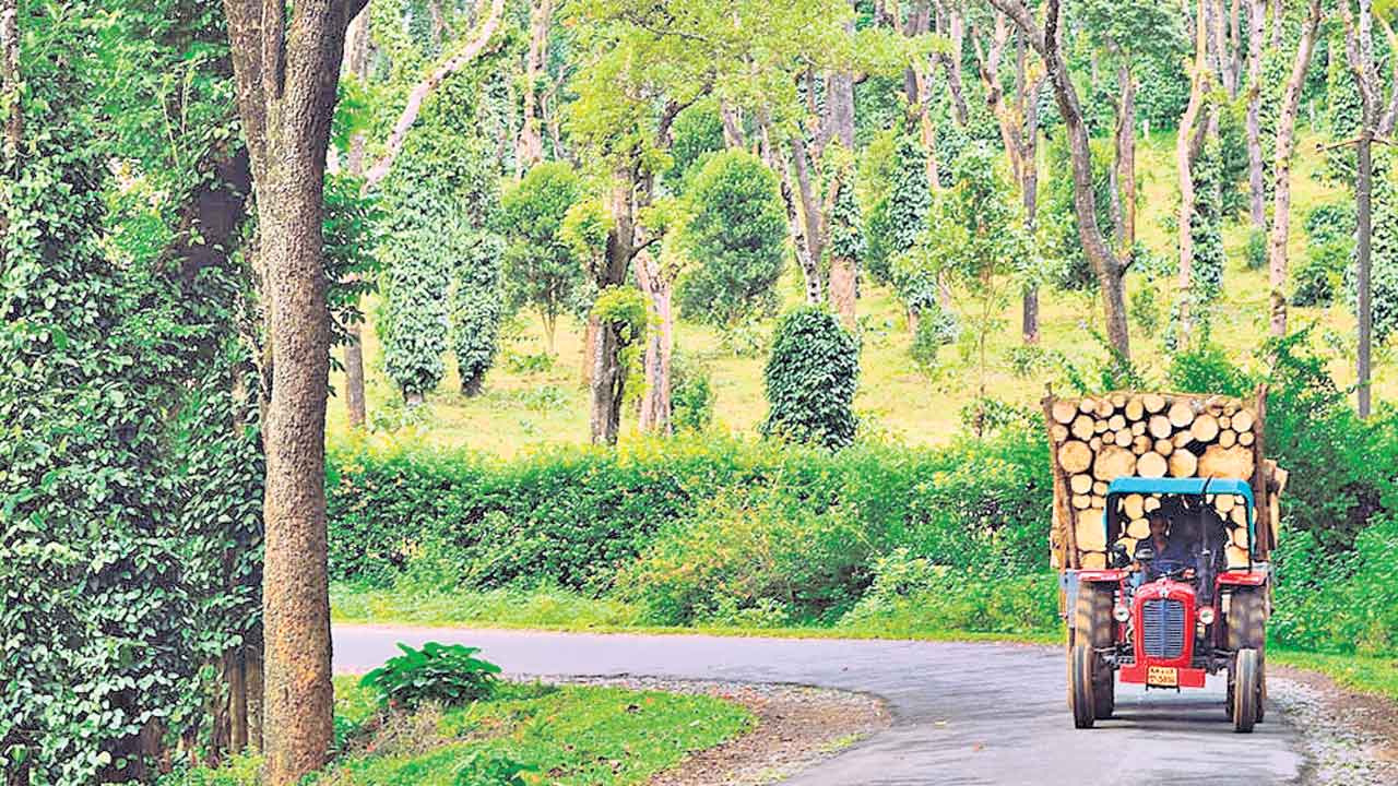 Coorg