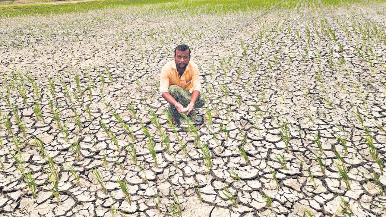 పారింది.. బాబు పాచిక.. ‘బనకచర్ల’ కోసం నావలి నజరానా
