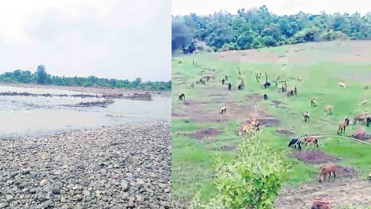 వరుణా.. కరుణించు.. వర్షాలు లేక బీడుగా భూములు