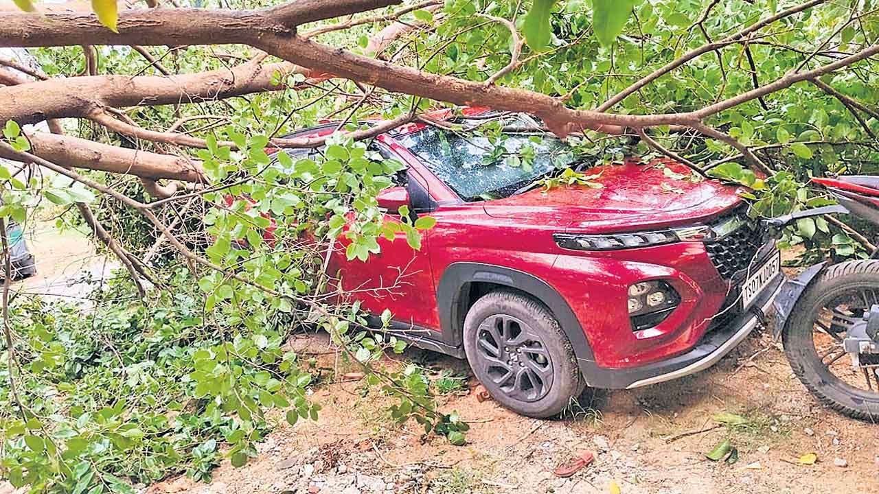 ఈదురుగాలుల బీభత్సం