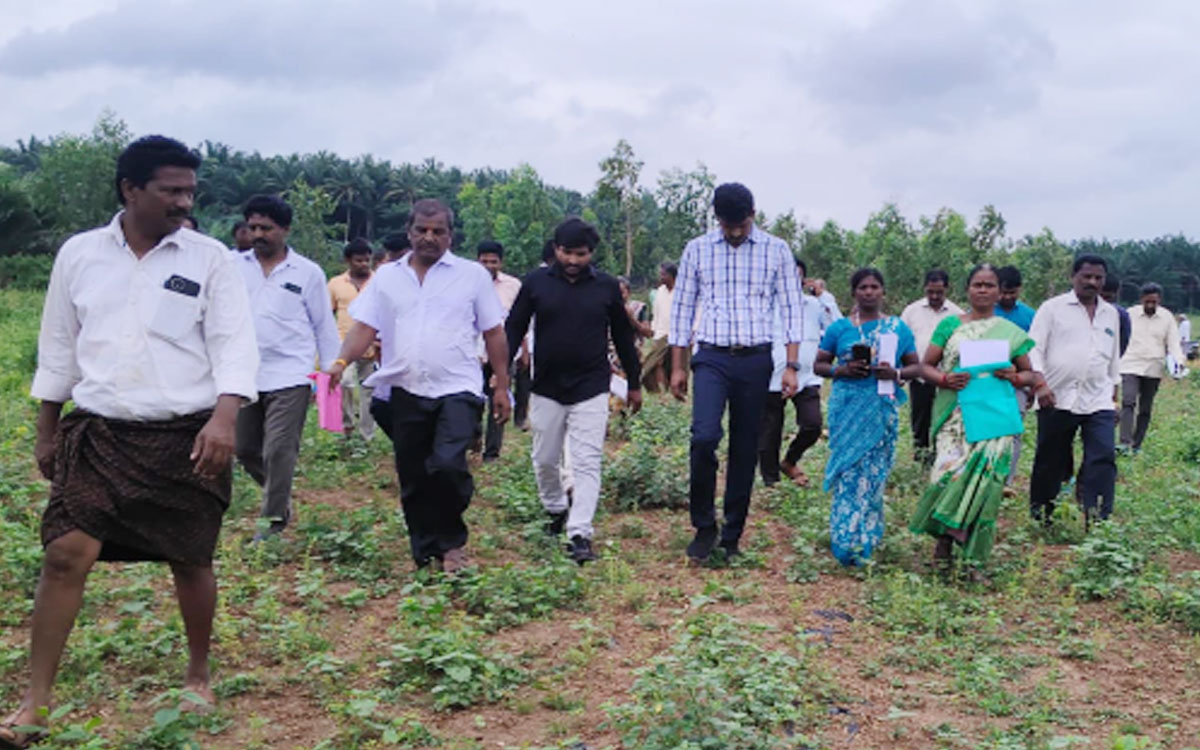 దమ్మపేటలో వివాదాస్పద భూముల పరిశీలన