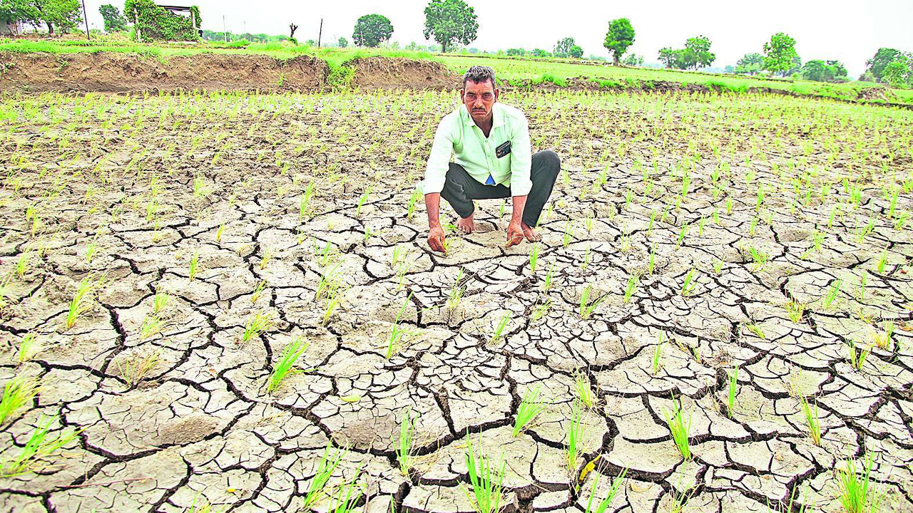 Congress Scam | కాంగ్రెస్‌ కరువు దోపిడీ.. ఎల్‌ నినో అదునుగా భారీ అవినీతికి స్కెచ్‌ ..!