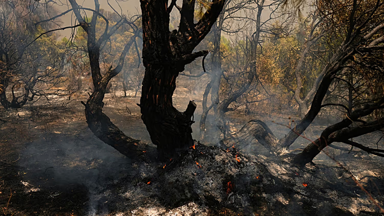 Europe Wildfires: యూరోప్‌లో వేగంగా విస్త‌రిస్తున్న కార్చిచ్చు.. వాతావ‌ర‌ణ మార్పులే కార‌ణ‌మా?