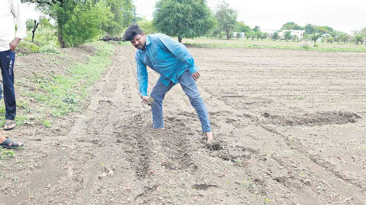 Farmer 1