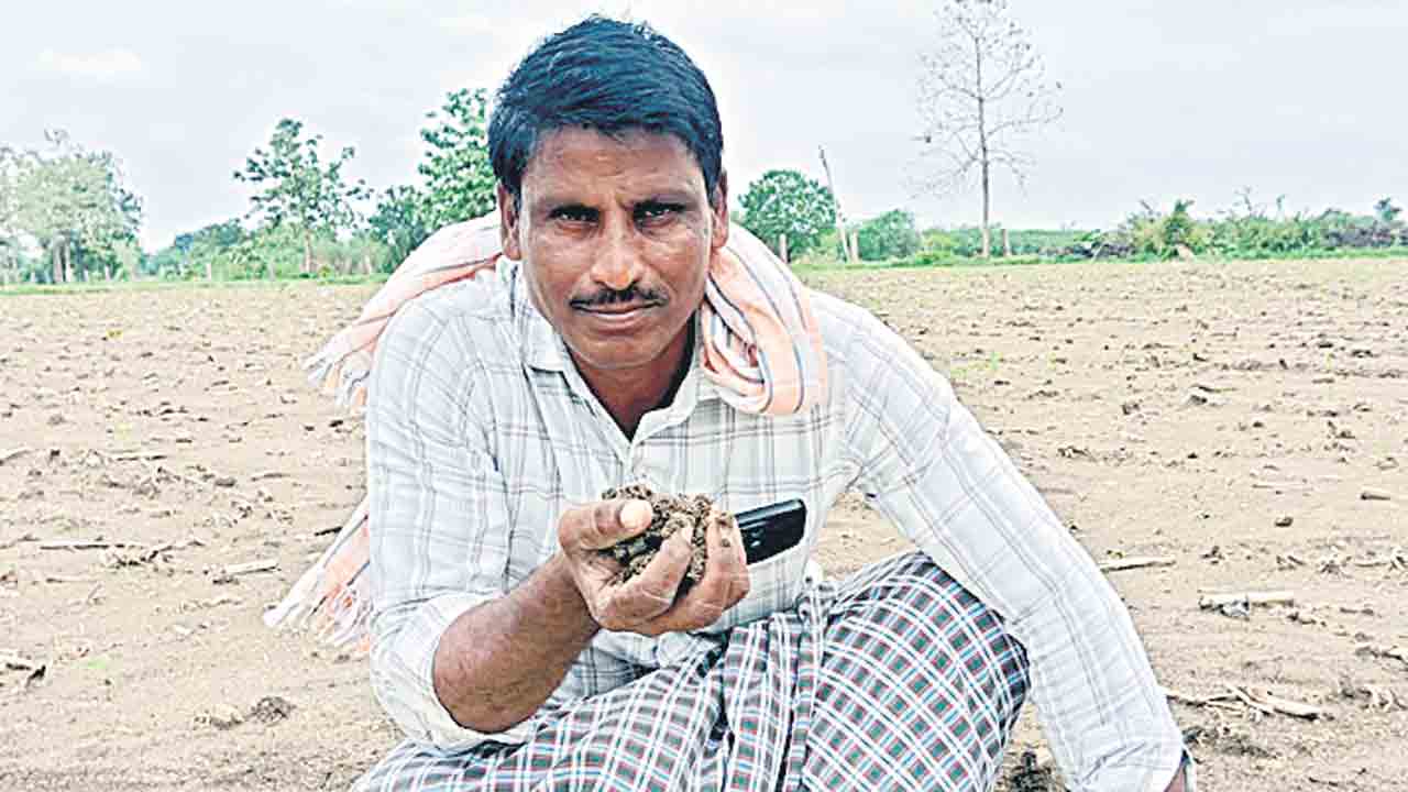 Farmer 2