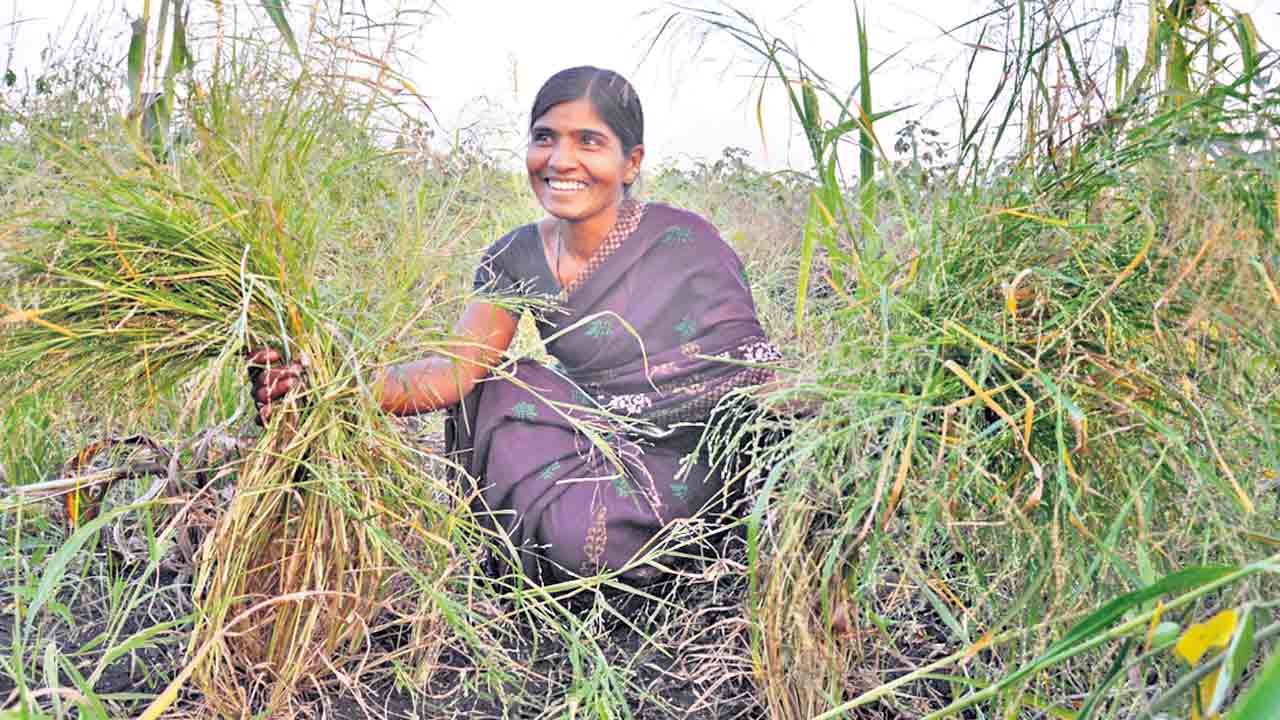 Farmers