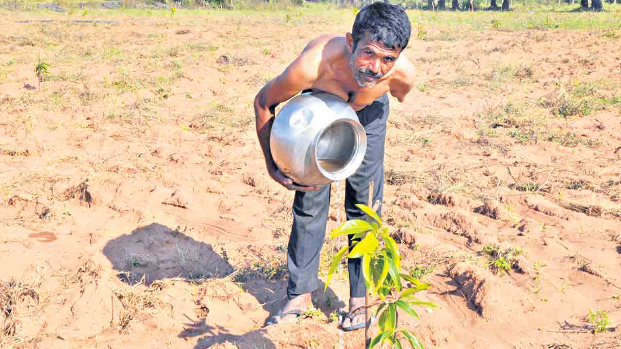Farmers Raju 2