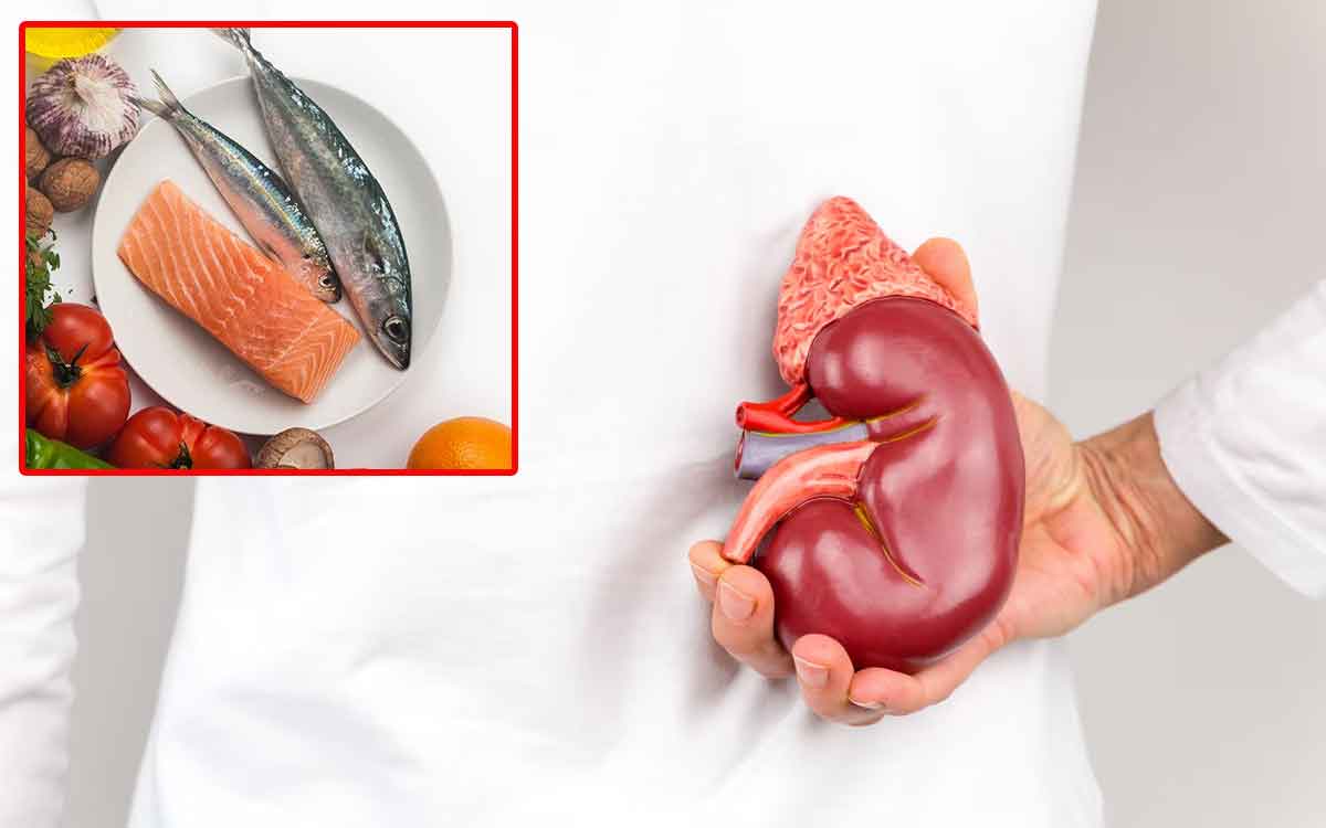 Fish | చేప‌ల‌ను త‌ర‌చూ తింటే కిడ్నీల ఆరోగ్యానికి ఎలాంటి ఢోకా ఉండ‌దు.. నిపుణుల వెల్ల‌డి..
