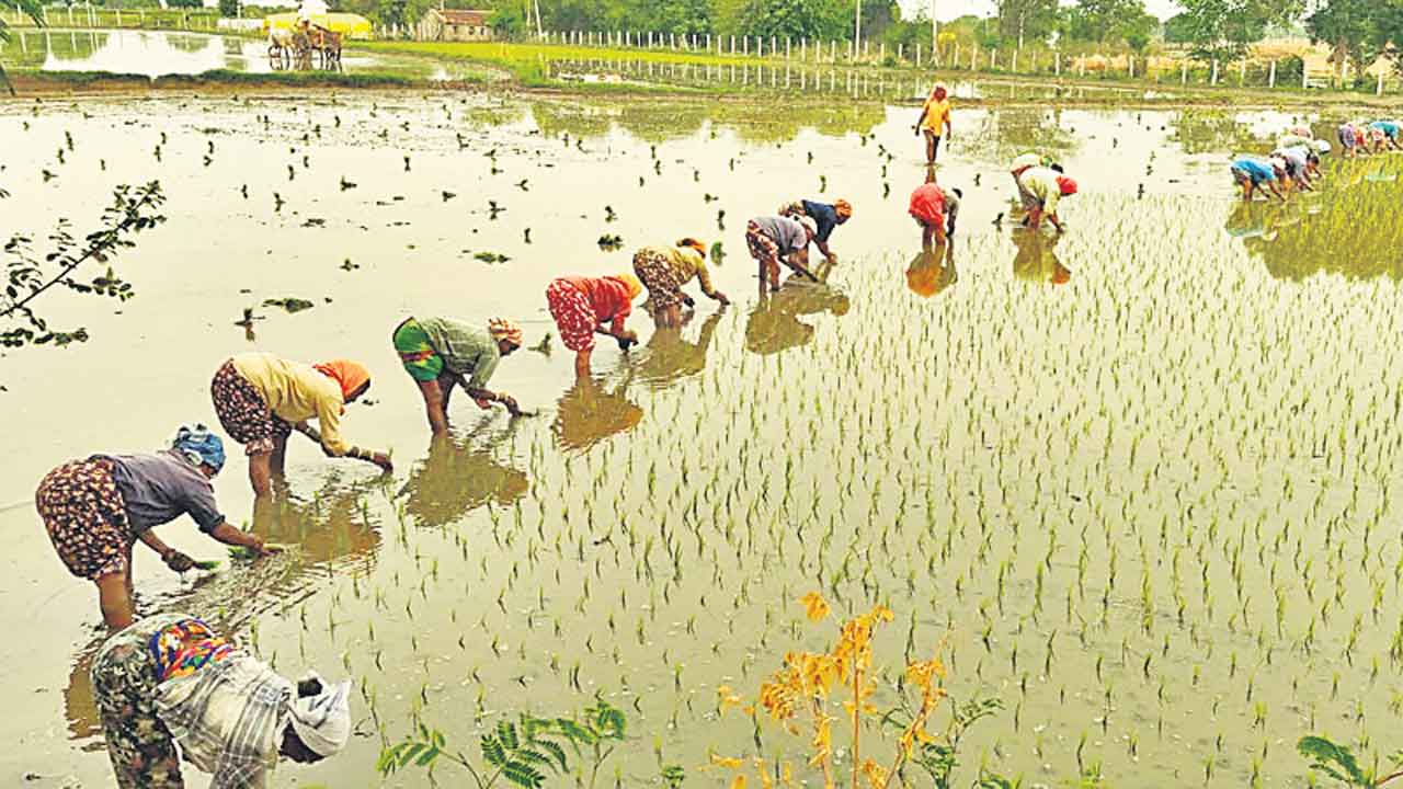 బీమా.. ధీమా.. లేదు