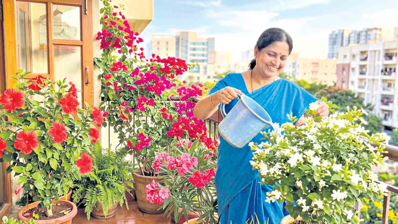 ఏడాదంతా పూలమయం