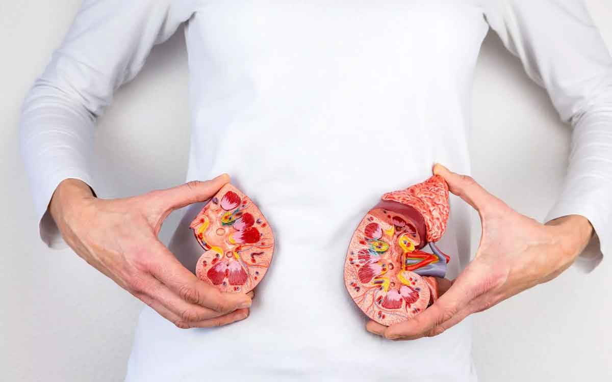 Kidney Diseases | ఈ స‌మ‌స్య‌లు ఉన్న‌వారు లేదా అల‌వాట్లు ఉన్న‌వారికి కిడ్నీ వ్యాధులు వ‌చ్చే అవ‌కాశాలు ఎక్కువ‌.. జాగ్ర‌త్త‌లు త‌ప్ప‌నిస‌రి..