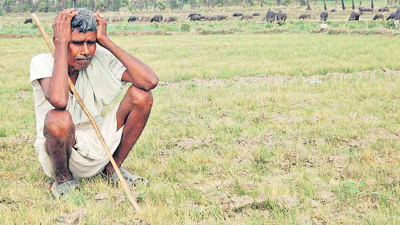 సాగని ఎవుసం!