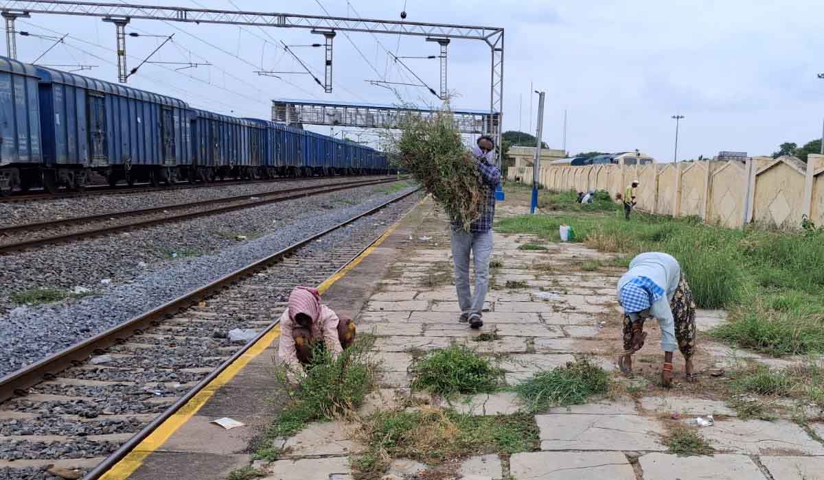 Kolanur railway station | కొలనూర్ రైల్వే స్టేషన్ ఫ్లాట్ ఫామ్ పై గడ్డి, పిచ్చి మొక్కల తొలగింపు.. ‘నమస్తే తెలంగాణ’కు స్పందన