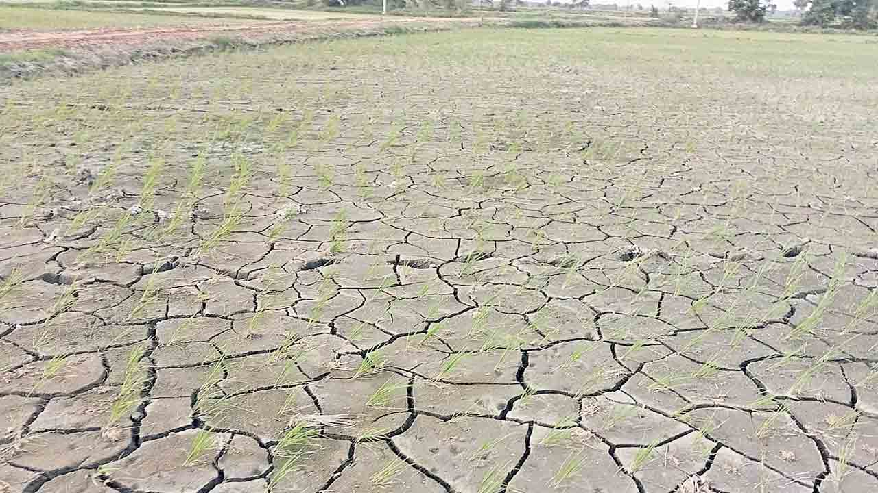విరుగుతున్న కల!